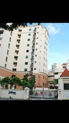 Hillview Green (D21), Condominium #149459602